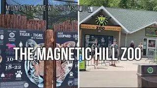 The Magnetic Hill Zoo &ndash; Moncton, New Brunswick