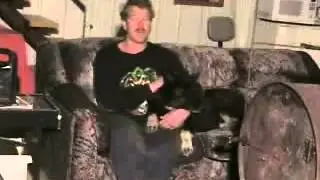 #494 the story of wolf, my co star at davesfarm [Davidsfarm]