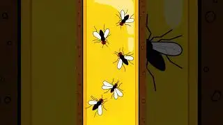 Catch Adults Fast &mdash; Yellow Sticky Trap Hack 🟨🪰 #containergardeningtips #containergardening