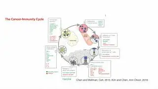 Recent Advances in the Immunotherapy of NSCLC