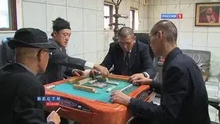 Они называют себя - якудза / Yakuza - they call themselves / ヤクザ