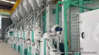 200T/D Rice Milling Plant | Complete Solution from Paddy to Packaged Rice #ricemillplant
