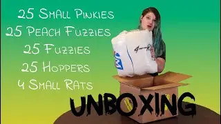 Unboxing Snake Food | Perfect Prey