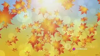Nature's Dance: Order and Chaos