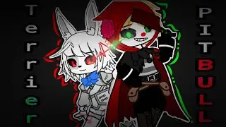 PITBULL TERRIER Meme // PDP!Security Breach AU 