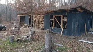 Wood shed update. 