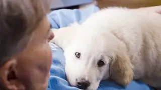 Please Meet Sunny