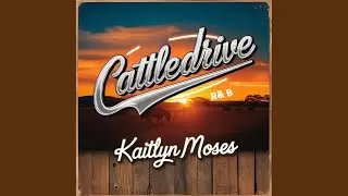 Cattledrive
