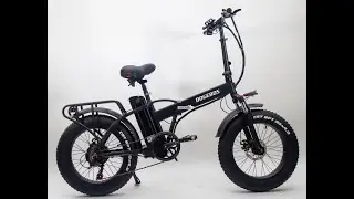 Chinese electric bike factory made in China