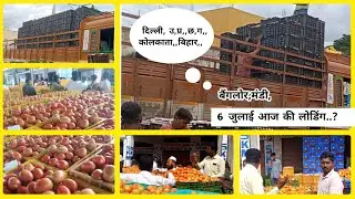 6 जुलाई 25 बैंगलोर Export Tomato Packing Bangalore | Tamatar All India Transport 🍅