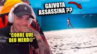 AS GAIVOTAS FORAM PRA CIMA DELA!