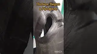 Мега Ремонт Шины 17.5-25 #вулканизация #ремонтпорезовшин #кгш #TRS #техобслуживание