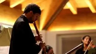 Telemann - Triosonata in D minor for recorder, violin and b.c. - Ensemble Estro Cromatico