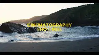 Cinematography Portfolio ( Green artifacts)