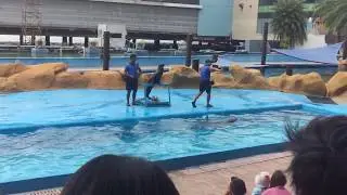 Sea Lion Show @ Manila Ocean Park