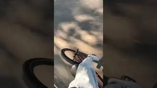 велосипед без тормозов, бракованный? #bmxisfun #bmxlife #lifyshorts #bikelife #lifestyle #mtb #велик