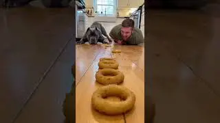 Man vs. Beast: The Onion Ring Challenge! 🧅🐶​Hashtags: #DogVsHuman