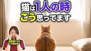 猫が留守番中に一人で感じている“本当の気持ち”はコレです