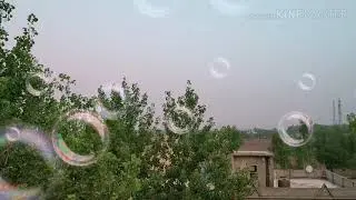 Shyam teri bansi and bird sound mix ( scene nuhon near  {AMBUJA FACTORY ROPAR}.)