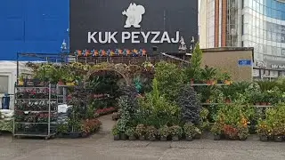 🍀🥀💐Karanfıller Cuhalar  Buhuru meryemler renk &ccedil;&uuml;mb&uuml;ş&uuml;