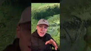 How to unhook a fish #fish #funny #bass #bigfish #fishing #fishingvideo #fishinglife #fishingtips