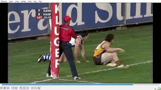 Semi Final 2007 Hawthorn North Melbourne MCG AFL 2007 Aaron Edwards