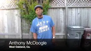 Boogaloo Ant