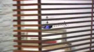dsrz