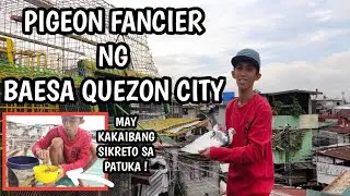PIGEON FANCIER NG BAESA QUEZON CITY