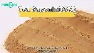 Tea Seed Extract