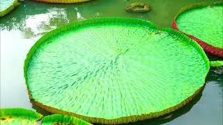 Động h&agrave;nh 2022 Đồng Th&aacute;p