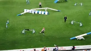 LUX Jessica Patterson Large Agility AWC 2019