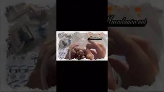 #chinahaul #china
