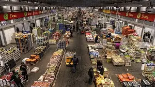 Le Stade Fran&ccedil;ais Paris de retour au March&eacute; de Rungis