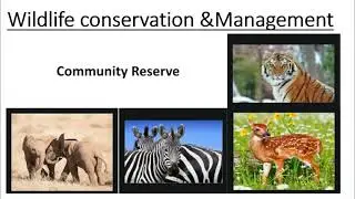 Part 2 || Wildlife conservation and Management || Community Reserve