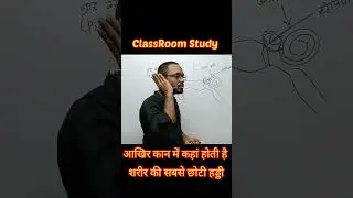 Location of Stapes Bone, Parts of Ear कान के भाग #biology #neet2024 #science #chemistry #12thclass