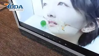 Transparent LCD Showcase
