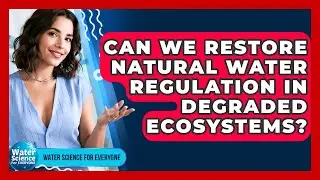 Can We Restore Natural Water Regulation In Degraded Ecosystems? - Water Science For Everyone