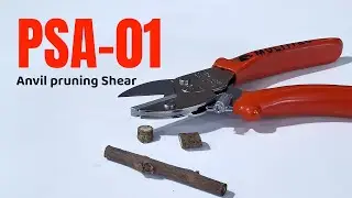 PSA-01 Anvil Pruning Shear Review | Best Tool for Tough & Dry Branches 🌿✂️