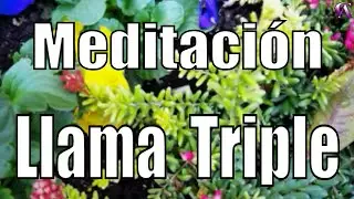 Meditation. Triple Flame.