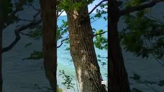 Wellesley Island State Park, Outer Trail