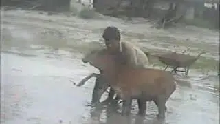 Siang flood on 11  th July 2000