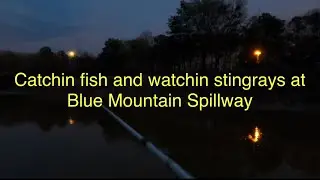 What do Stingrays and Blue Mountain Lake Spillway have in common??