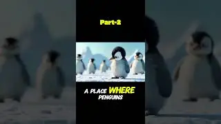 Fifi Finds a Mysterious Map!  #animalinstincts #penguin #funny #animalkingdom #cute