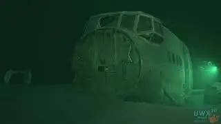 Zakrz&oacute;wek AN2 - 3D Model - Underwater Photogrammetry - Closeups