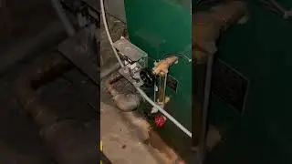 КАК ПРОВЕРИТЬ АВТОМАТИЧЕСКУЮ КОРМОВКУ ДЛЯ ВОДЫ