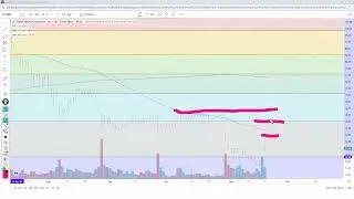 Load the Boat on Super Micro Computer Shares?