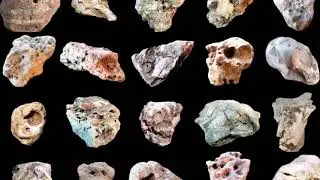 #alienfossils The Alien Fossil Project Lives On!