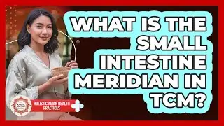 What Is the Small Intestine Meridian in TCM?