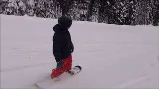 Calvin3